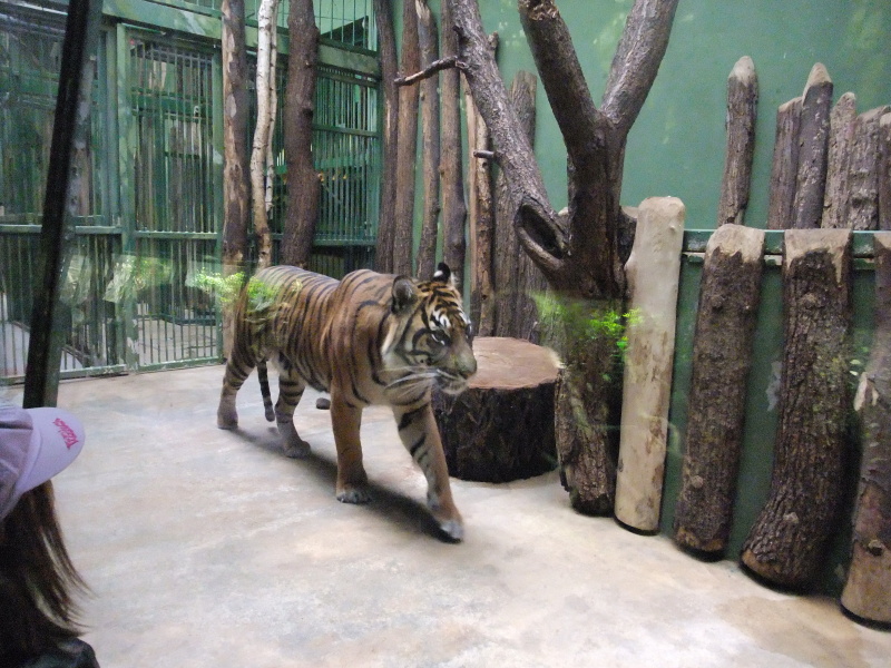 Zoo 3.A 2011 (71).jpg